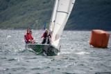 the wilderbeest III gbr3516 ss12 sun 2886